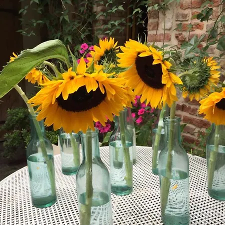 D'hotes A L'ecole Buissonniere 3* Honfleur