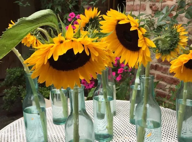 D'hotes A L'ecole Buissonniere 3* Honfleur